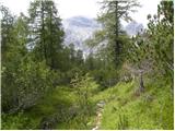 Passo Staulanza - Monte Pena